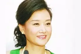 宋祖英《大地飞歌》图片