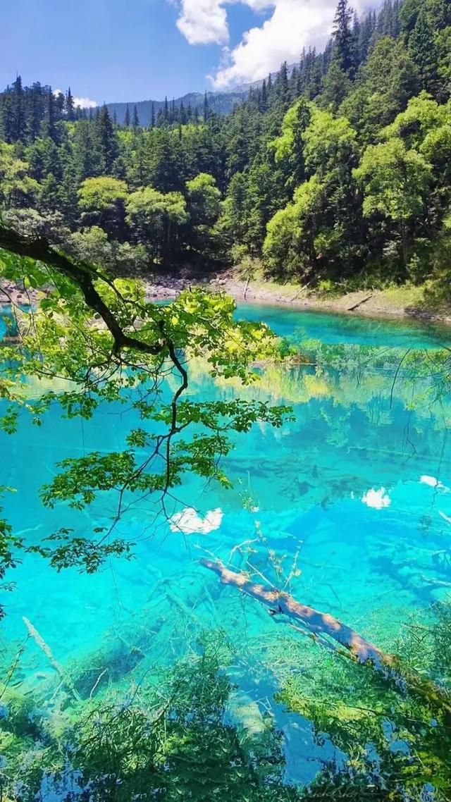 11月必游!九寨沟的绝美秋色,错过等一年!