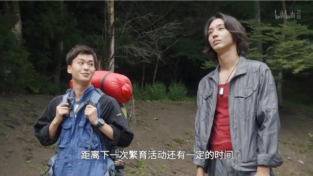 我以为贝利亚和奶龙已经是下限,没想到还有更大的