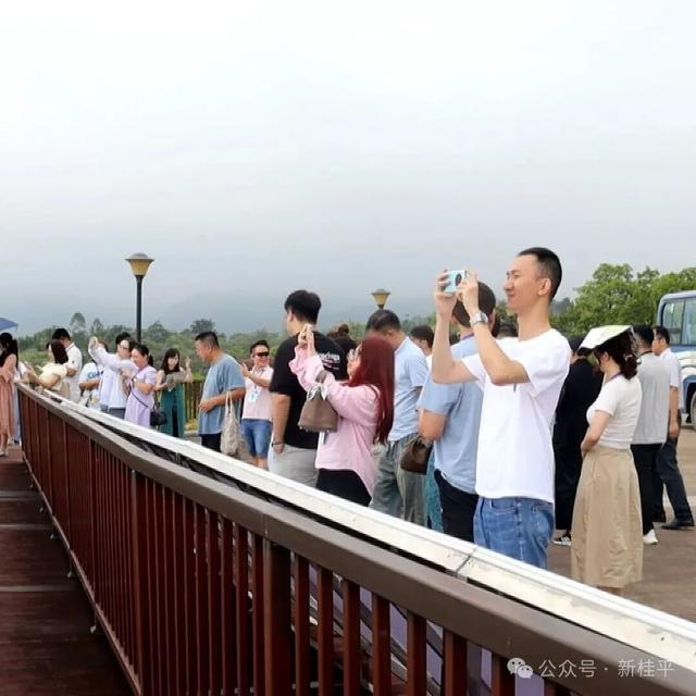 38名港澳青年走进桂平，看水利奇迹，品乳泉酒香→