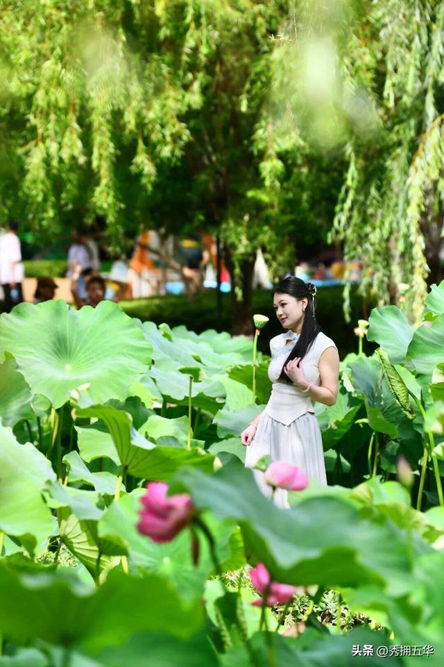 翠湖是个圈•文化圈|用好春城“最大文化IP”打造“文化+”融合发展五华样本