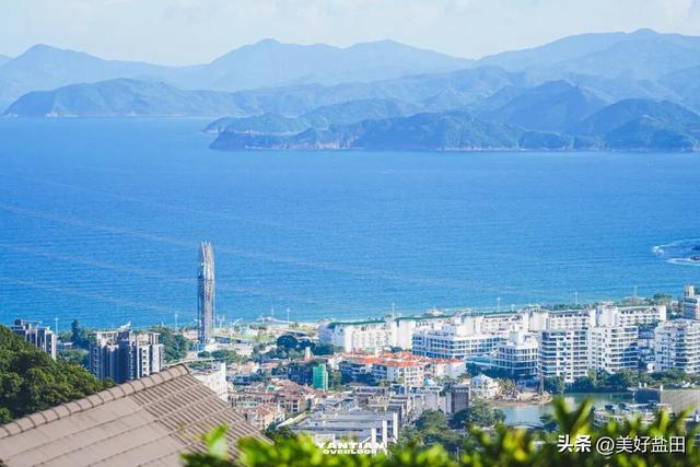 星期五，盐田上新啦 | 登山、观海、品咖、撸猫，真的太松弛了吧……