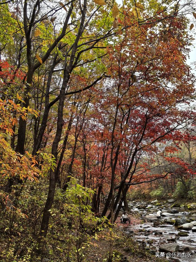 2025辽宁赏秋之旅日记(3)——游览洋湖沟和老边沟