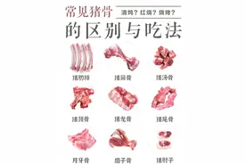 常见猪骨的区别与吃法图片