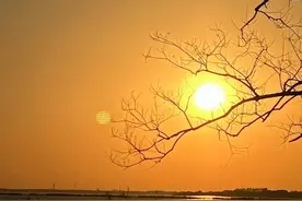 打坐三十多年的一点体会图片