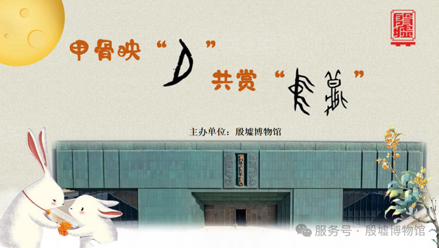 开放时间调整！河南各大博物馆国庆攻略来了→