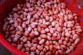 多项研究发现：花生与血管息息相关！怎么吃、吃多少，今天告诉你图片