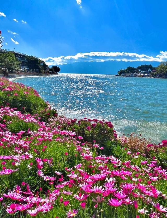 冬天别宅家！云南这6个暖地亲测好耍