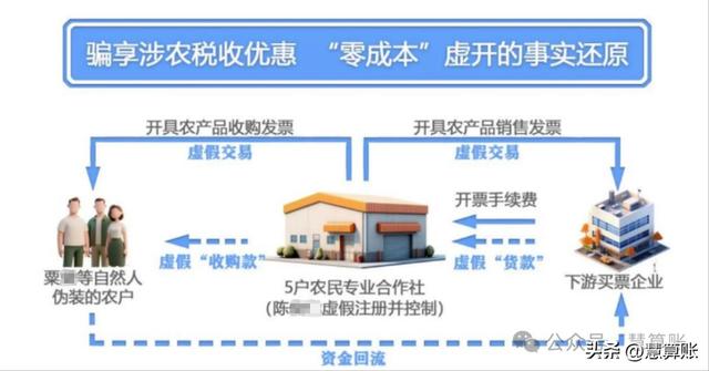 农业优惠成遮羞布，5家合作社虚开30亿被拆穿