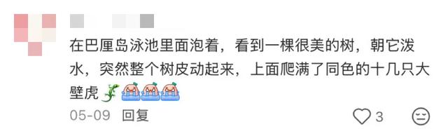 阻止我去巴厘岛旅游的唯一理由: