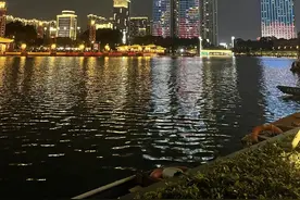 千灯湖：珠江三角洲的“华尔街乞丐”图片