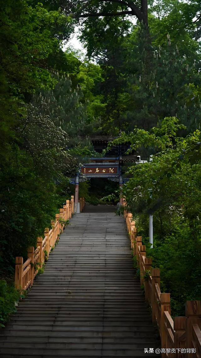 寻幽兴隆山：陇右第一名山的秋日私语