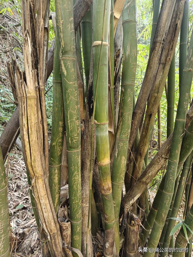 再游宕渠文化游，感受千年历史沉积