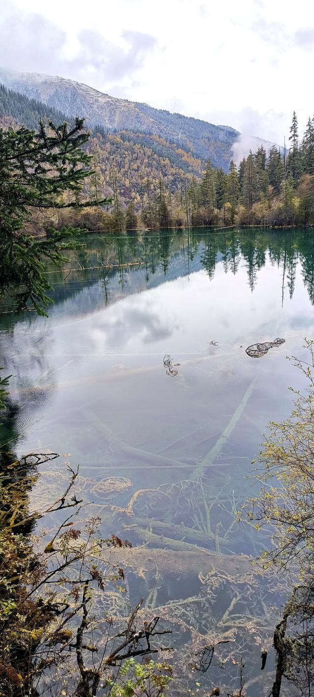 神仙池（一）竖幅