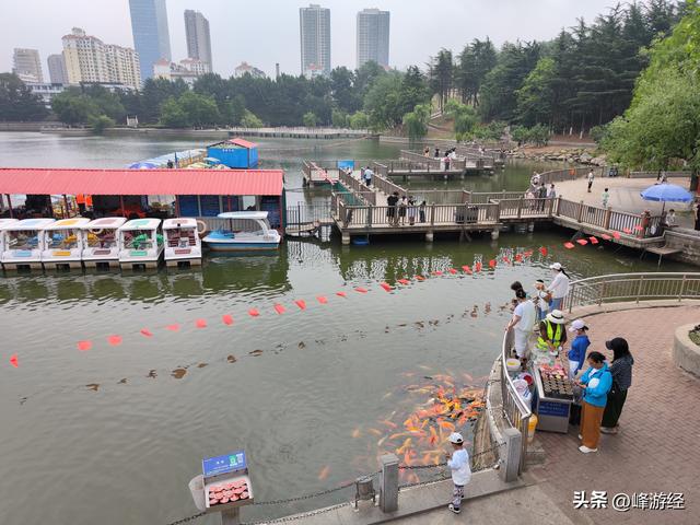 南山公园，烟台人的遛娃胜地，站在山顶的栖云阁看海天一色