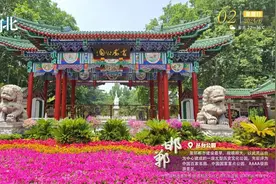 这么近 那么美 周末到河北——丛台公园图片