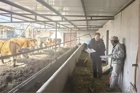 酒泉：推动养殖业健康发展图片