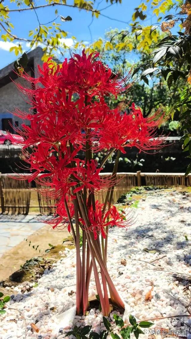挖到超级小众的宝藏景区，还是5A级！免费开放，大多数人都不知道