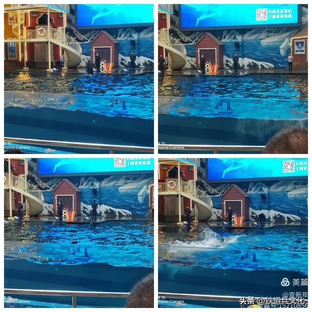 查新年||首次游览曲江海洋馆