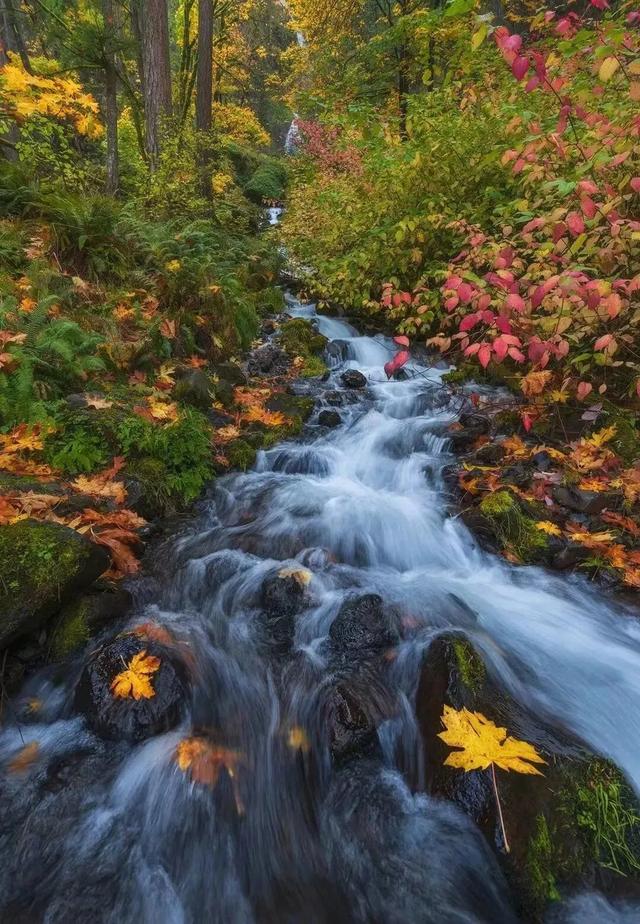 出片率100%！西安爬山赏秋打卡地推荐！速约→