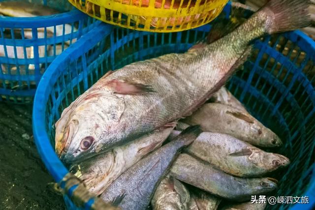 不舍离岛!嵊泗这些烟火气十足的地方再去走一走!