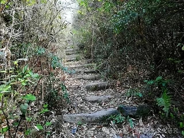 遐嵩古道的古往今来