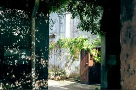 分享30号带有“凉”字的诗句，谁念西风独自凉图片