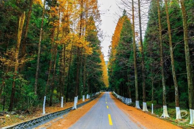 国庆复习手册！您的假期回忆正在加载中