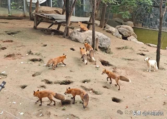 地铁3号线直达,西安城东4A级世博园你有多久没去过了!