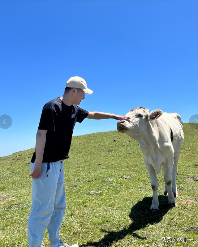 游客徒步遭牛群踩踏后续：景区回应，真相曝光后，网友直呼太活该