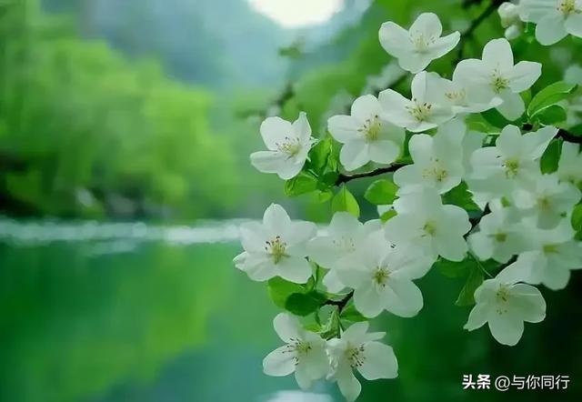 女人接吻时，有这“下意识反应	”，说明她已对你“彻底沦陷”