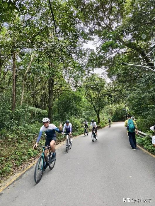 骑遇坪山① | 宝藏“高颜值”骑行线,拍出森系大片刷爆朋友圈