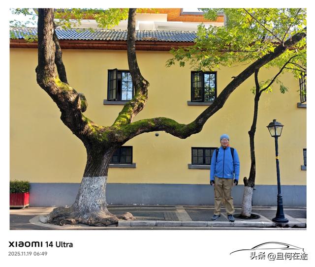 南京“丑萌”梧桐C位出道！颐和路半天游，把民国浪漫拍成表情包