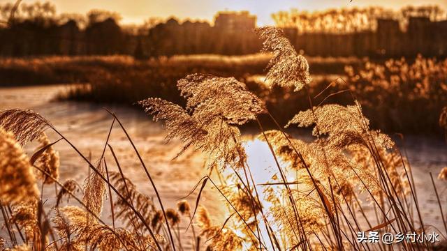 今日进一九，老人说“一九多晴天，坟头遍地起”，晴天有啥预兆？