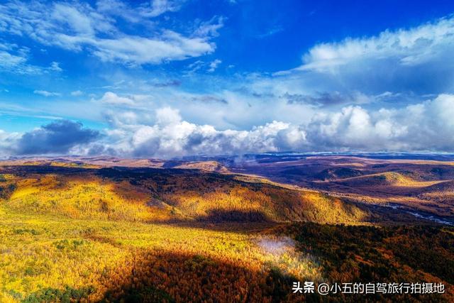 9 地秋日赏秋实测攻略！附最佳时间 + 落地玩法，收藏直接走