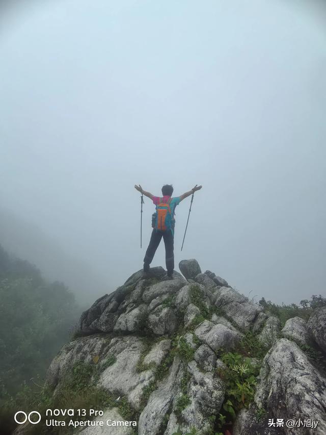 来呀，去白云山看金莲花，辽阳县大黑山风景区境内的白云山