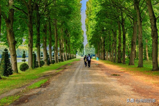 欧游杂记（9）‖ 凡尔赛，完完全全是高调的奢华