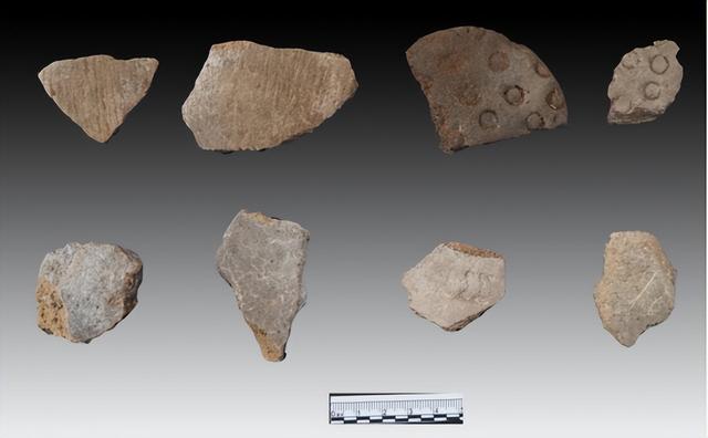 河北文旅：一路繁花，活力焕新