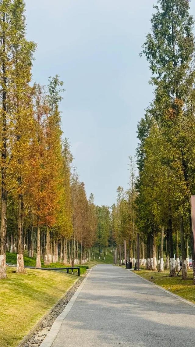 周末晒太阳！这几地有湖水+草坪+1h可达