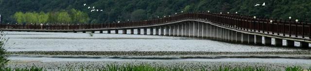 当横江昼夜流转，我在休宁把夏天过成了诗 | 皖美夏日