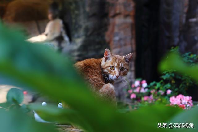 巴蜀石窟：内江东林寺摩崖造像