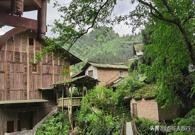 成都周边25℃的小众避暑地，可以露营、玩水、游泳，超凉爽！