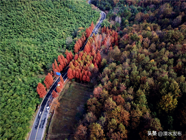 国家级“天然氧吧”，马上冲！