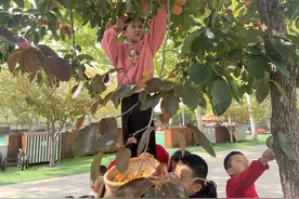 利津县第三实验幼儿园萌娃果趣采收记图片