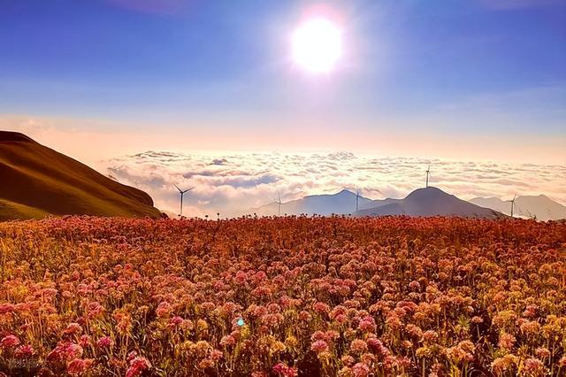 世界上只有贵州才有的十大奇景，每处都能让世界惊叹，你去过几个