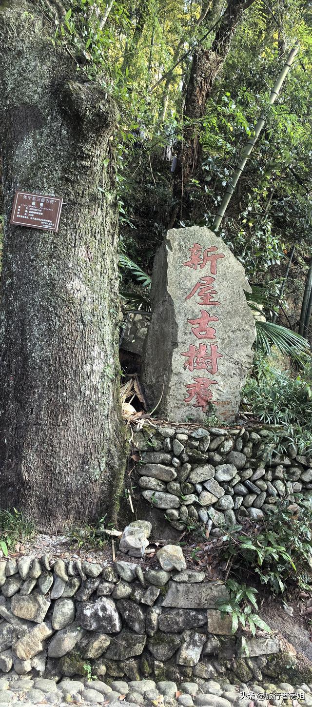 一条古道从浙江到安徽，全程经过三个古村落