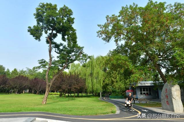 立秋之约：达活泉公园的诗意画卷（图）