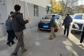 古交市屯兰街道：“多格合一” 护安全 高效处置流浪犬安全隐患图片