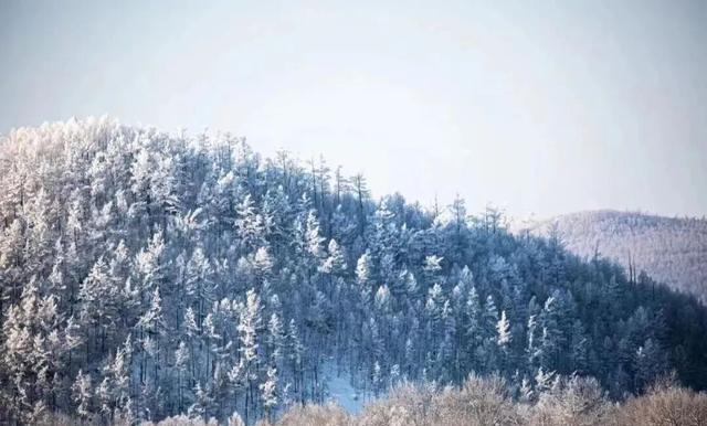 雪原递柬！呼伦贝尔大草原北京招商推介会11日启幕