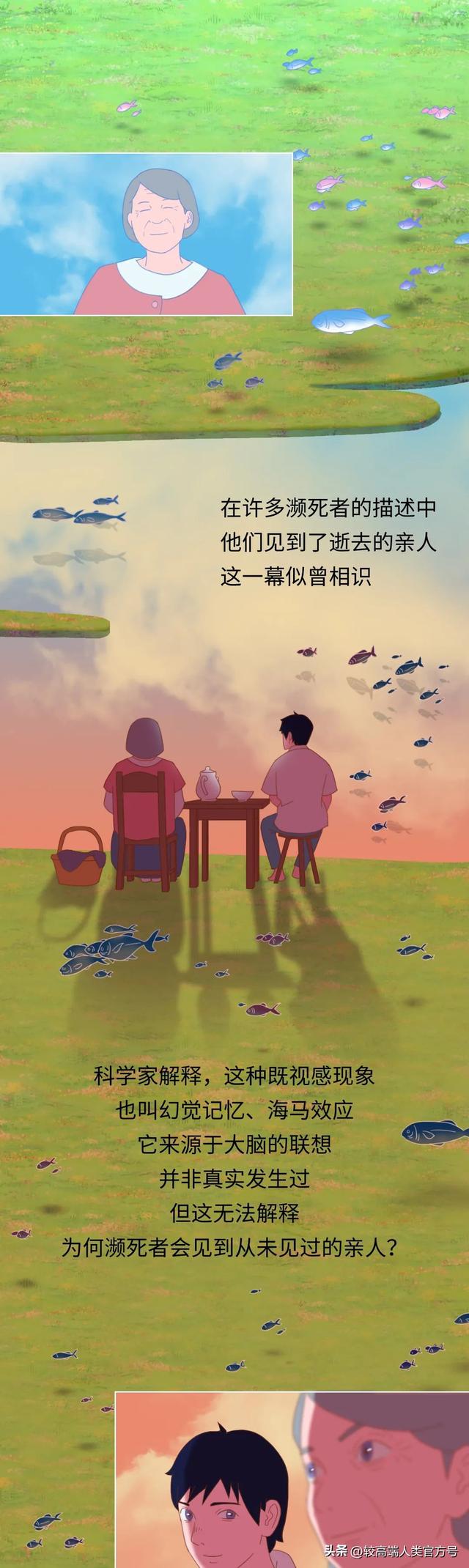 死亡前的30秒，人会看见什么？